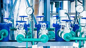 SS Screw Pump at Best Price India